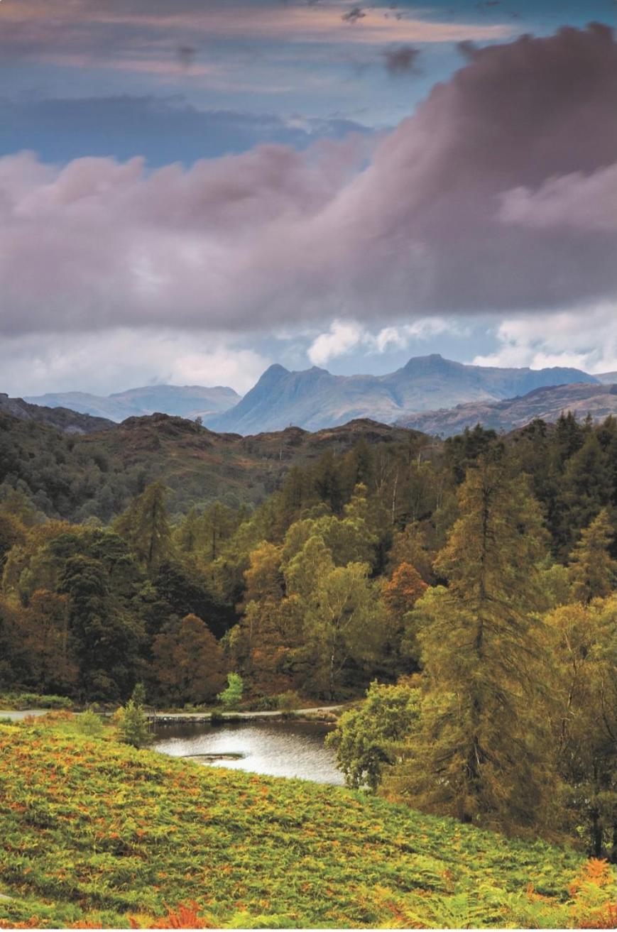 Yewfield Self Catering Apartments Hawkshead Zewnętrze zdjęcie